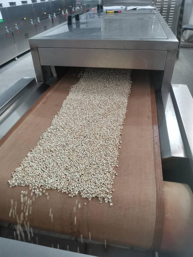 薏米微波熟化設備提高傳統雜糧品質 薏米微波熟化設備提高傳統雜糧品質